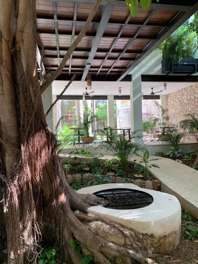 Treehouse Boutique Hotel, An Adults Only Boutique Hotel Mérida Εξωτερικό φωτογραφία
