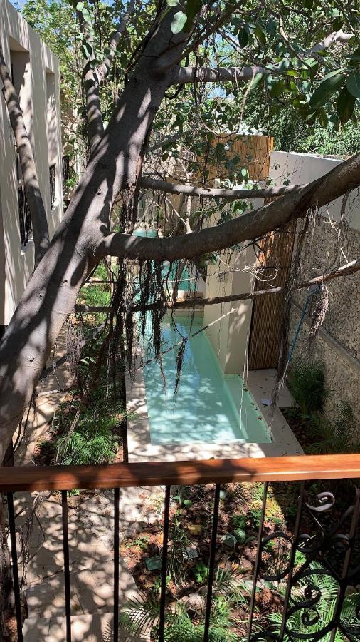 Treehouse Boutique Hotel, An Adults Only Boutique Hotel Mérida Εξωτερικό φωτογραφία
