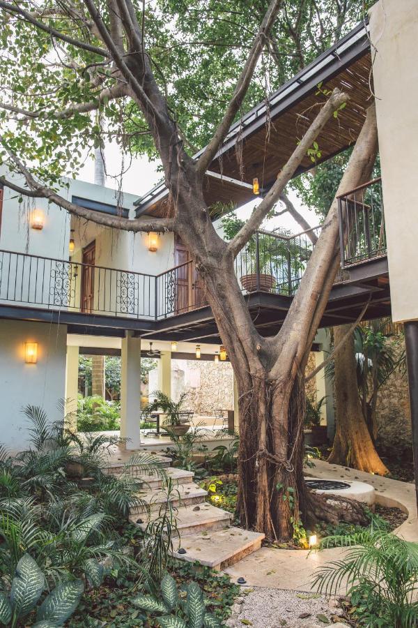 Treehouse Boutique Hotel, An Adults Only Boutique Hotel Mérida Εξωτερικό φωτογραφία